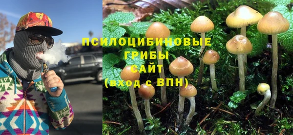 герыч Богородск