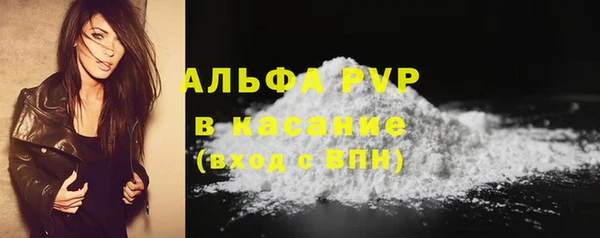 сатива Богородицк