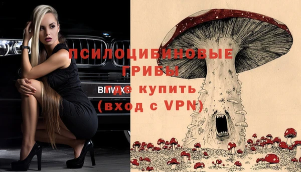 сатива Богородицк