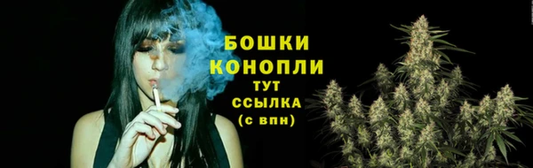 сатива Богородицк