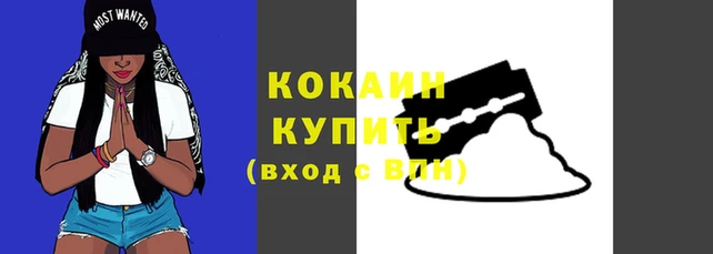 сатива Богородицк