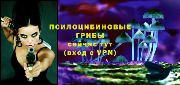 сатива Богородицк