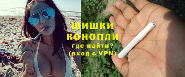 сатива Богородицк